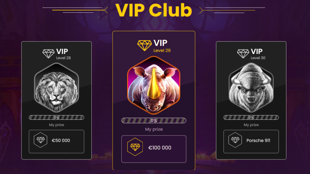 bizzo vip program